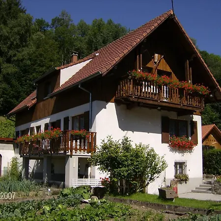 appartement vue sur la montagne Soultzeren Extérieur photo